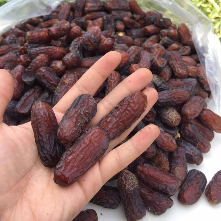 Pembekal Kurma